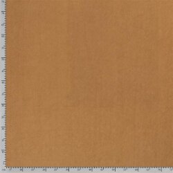 Winter VELVET (AS 1) - FARBE