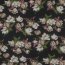 CHIFFON Flowers - BLACK / SAND