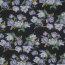 CHIFFON Flowers - BLACK / LILAC