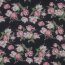 CHIFFON Flowers - NAVY / PINK