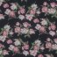 CHIFFON Flowers - NAVY / PINK