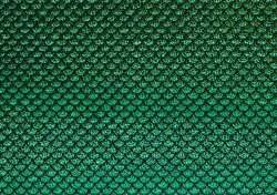 Lámina Jersey Escamas de sirena Holograma - verde