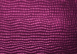 Jersey transparent aspect reptile - rose