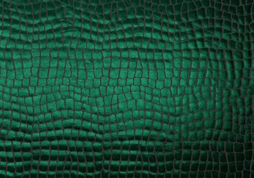 Jersey filmée aspect reptile - vert