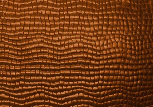 Jersey transparent aspect reptile - bronze