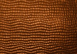 Jersey transparent aspect reptile - bronze