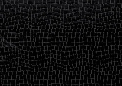 Folienjersey Reptiloptik Uni - schwarz