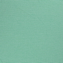 Jersey coton rayé 1mm - vert printemps