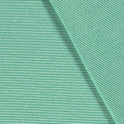 Jersey coton rayé 1mm - vert printemps