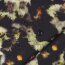 Softshell digital abstract - black