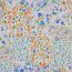 Viskose Popeline Digital Patchwork Blumen - indigo/pfirsich