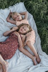 Popeline de coton Organic oiseaux & papillons - jeans