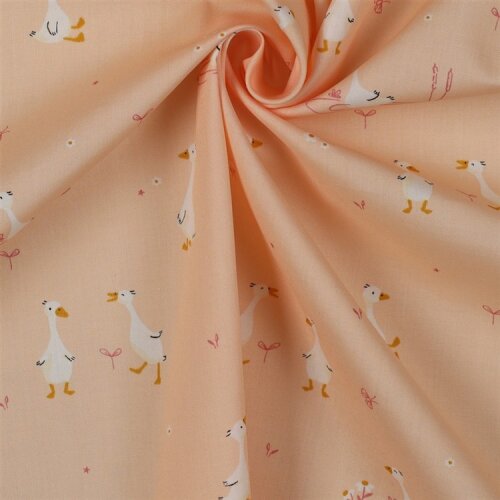 POPLIN GOOSE - POWDER