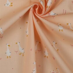 POPLIN GOOSE - POWDER