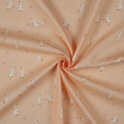 POPLIN GOOSE - POWDER