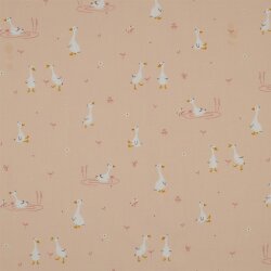 POPLIN GOOSE - POWDER