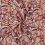 Canvas digital watercolour monstera leaves - purple