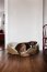 Velour decorative cord XXL stripes - camel
