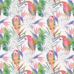 Cotton jersey digital hidden macaw - white