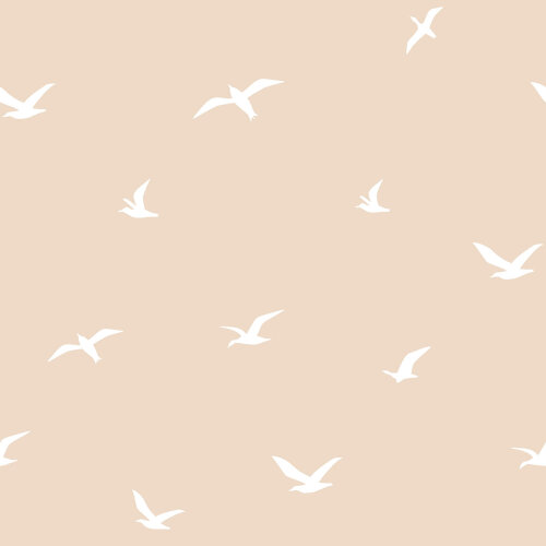 Mušelínoví ptáčci - béžovo-růžová