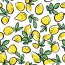 Bavlněný žerzej citrony - bílý