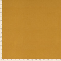 PL/VI/EL CAPA