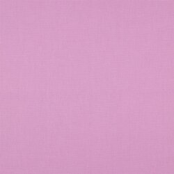 CANVAS - PURPLE