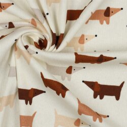 Rib jersey curious dachshund - nature