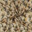 VISCOSE LUREX - OCHRE