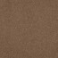PELLICCIA DI ORSETTO - SOFT TAUPE