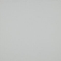 BRUSHED RIB JERSEY - ECRU