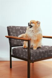 Canvas Hunde - creme/mittelgrau
