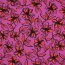 Romanit Jersey "Punta di Roma" Blumen - fuchsia