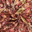 Viskose Nylon CREPE Paisley - FARBE