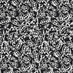 Satin VELVET Paisley - FARBE