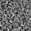Satin VELVET Paisley - FARBE
