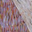 Viskose Krepp Abstract - FARBE