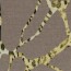 Polyester Viskose abstraktes Leogeflecht - taupe