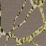 Polyester Viskose Leogeflecht - taupe