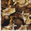 Polyester Viskose Aquarellmuster - ocker