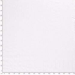 Baumwollvoile Bestickt STARS - FARBE