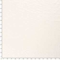 Baumwollvoile Bestickt STARS - FARBE