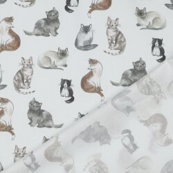 Feine Baumwollpopeline Digital CATS - weiß