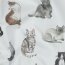 Feine Baumwollpopeline Digital CATS - weiß