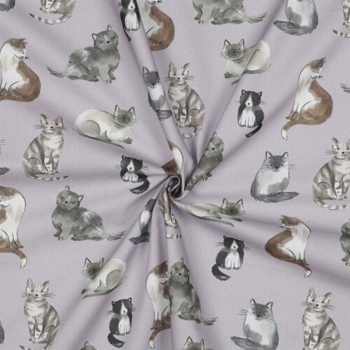 Feine Baumwollpopeline Digital CATS - LAVENDER