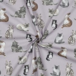 Feine Baumwollpopeline Digital CATS - LAVENDER