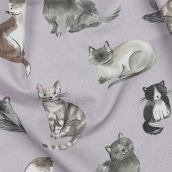 Feine Baumwollpopeline Digital CATS - LAVENDER