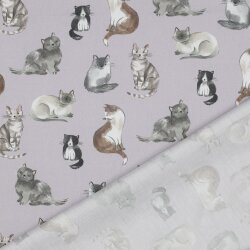 Feine Baumwollpopeline Digital CATS - LAVENDER