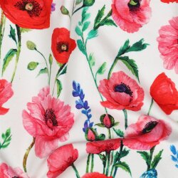 French Terry Digital Blumen - weiß