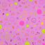 Baumwolljersey Neon Kritzelei - softpink